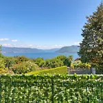 La Finestra Sul - Happy Holiday home *